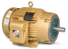 Standard AC Motor