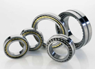 Cylindrical Roller Bearings